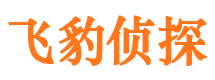 宕昌市侦探调查公司